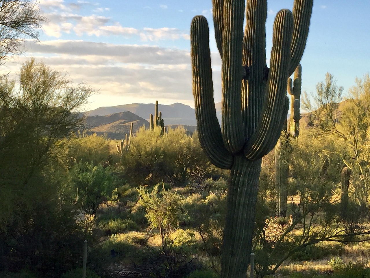 山东住房和城乡建设厅网站:政府网站建设与信息公开机制分析